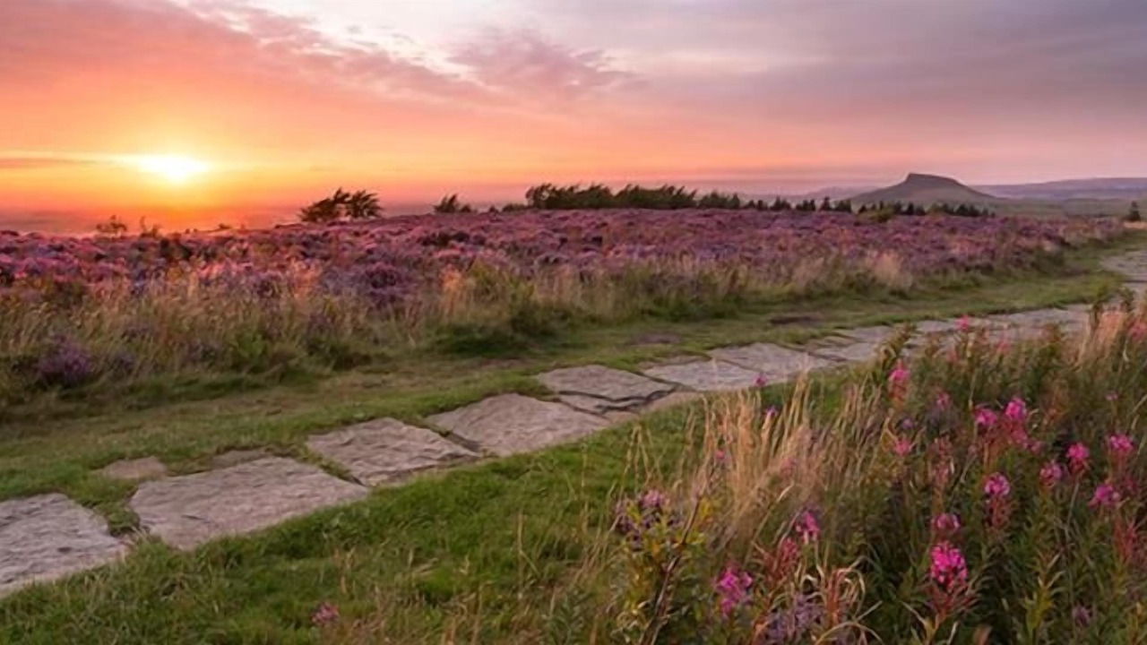 Photo of Outdoor in Ainthorpe
