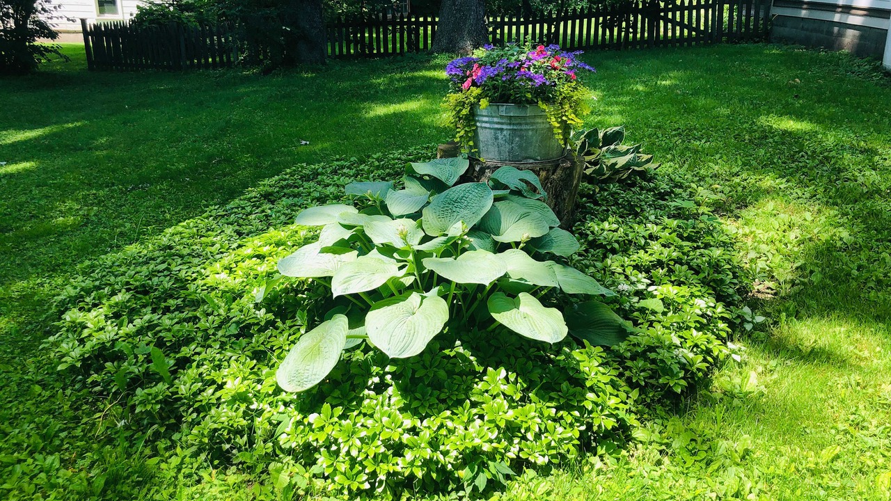Photo of Outdoor in Cherry Valley