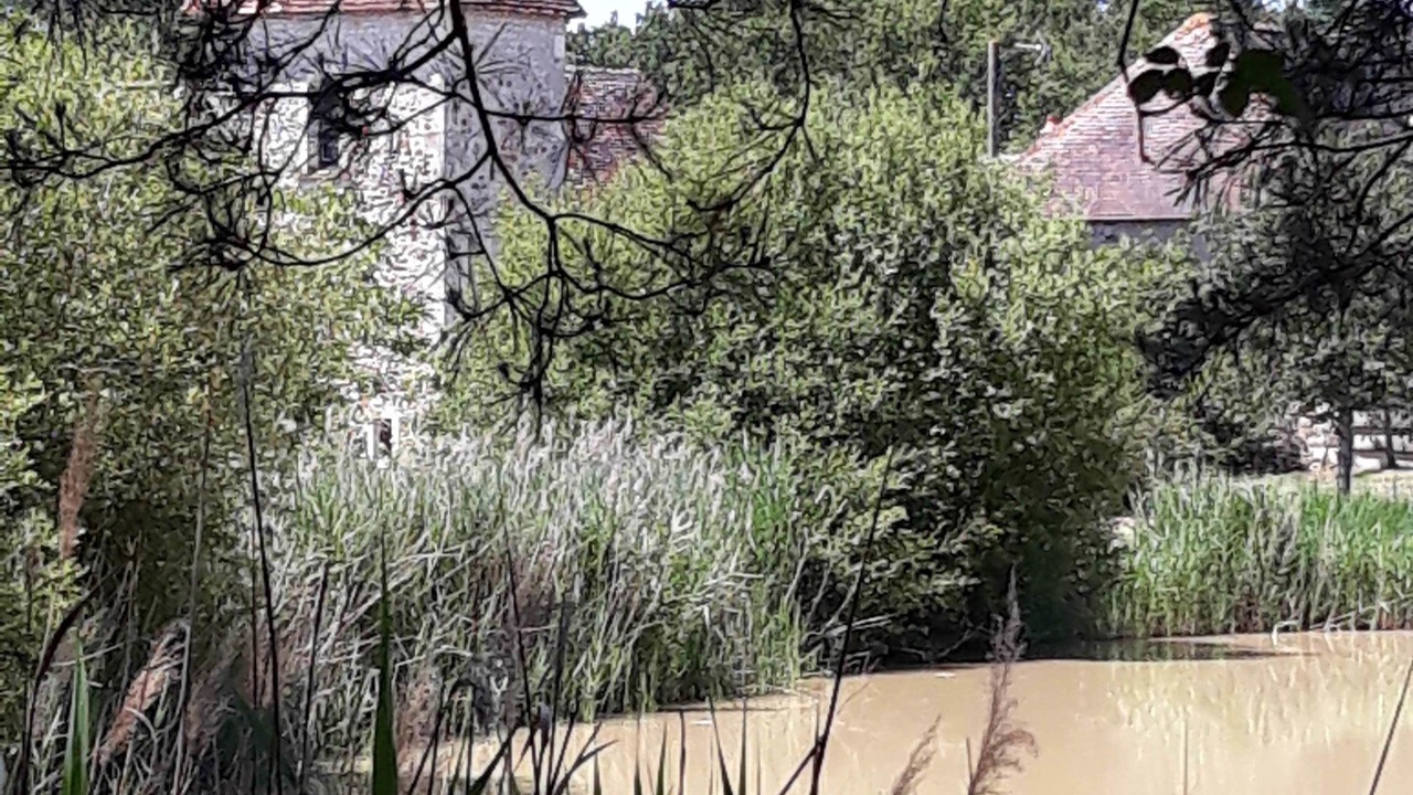 Photo of Others in Tournon-Saint-Martin