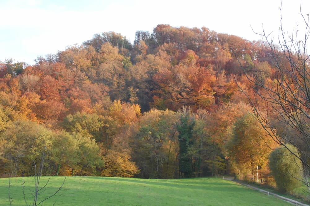 Photo of Others in Vabre-Tizac