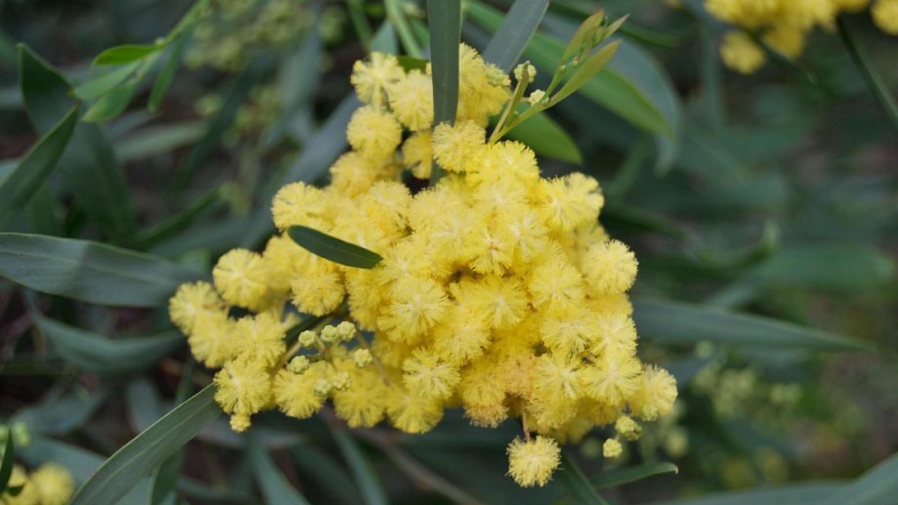 Photo of Outdoor in Bormes-Les-Mimosas