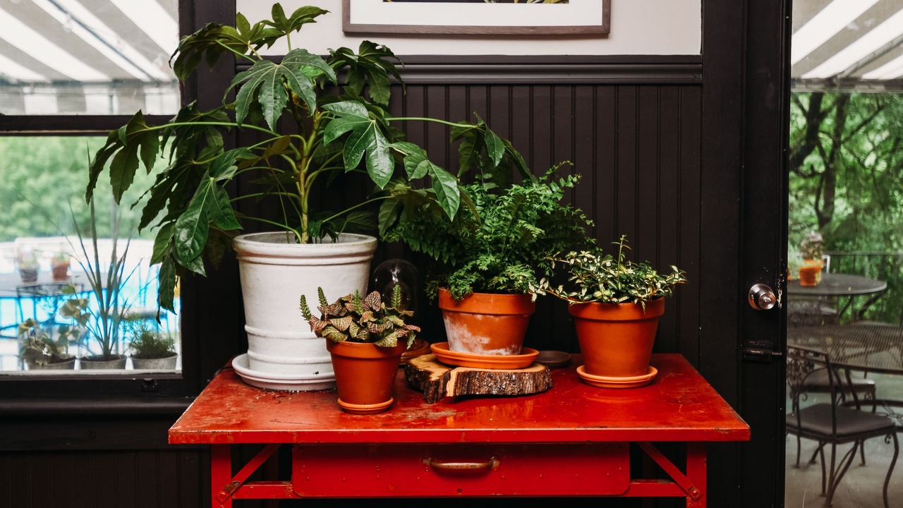 Photo of Patio Balcony in East Stroudsburg