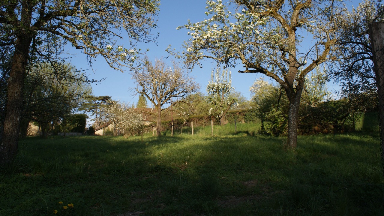 Photo of Outdoor in Clerey