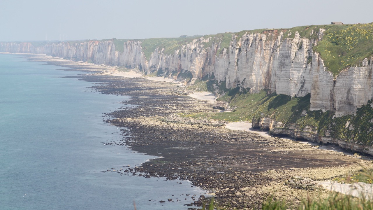 Photo of Others in Vittefleur