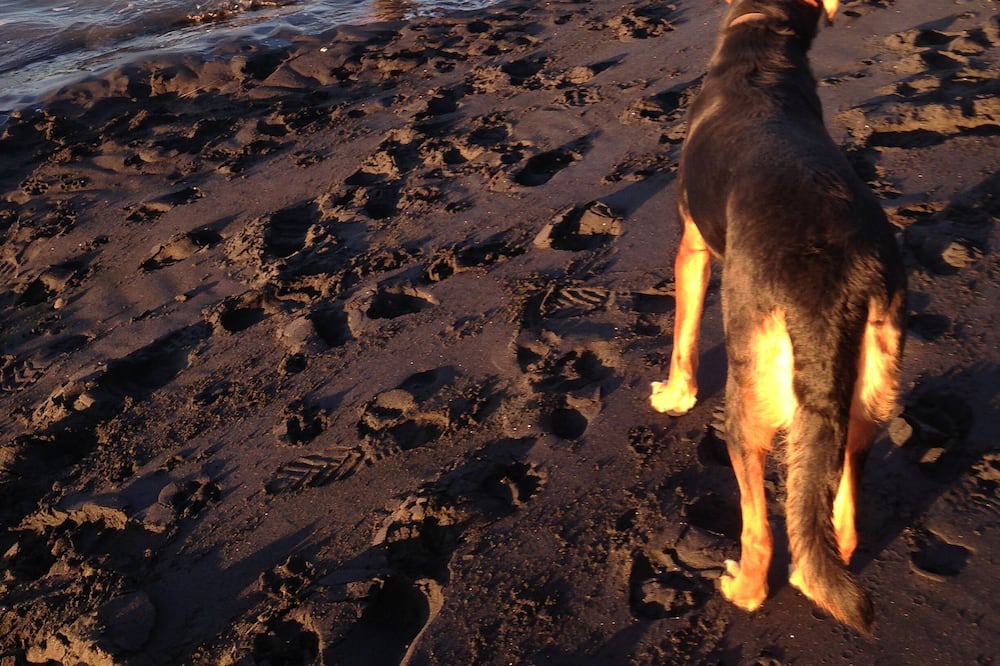 Photo of Others in Mokau