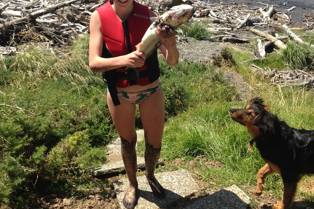 Photo of Others in Mokau