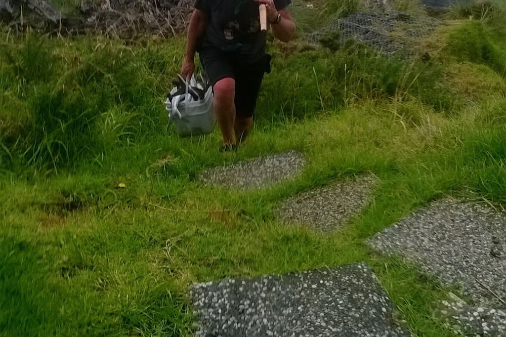 Photo of Outdoor in Mokau