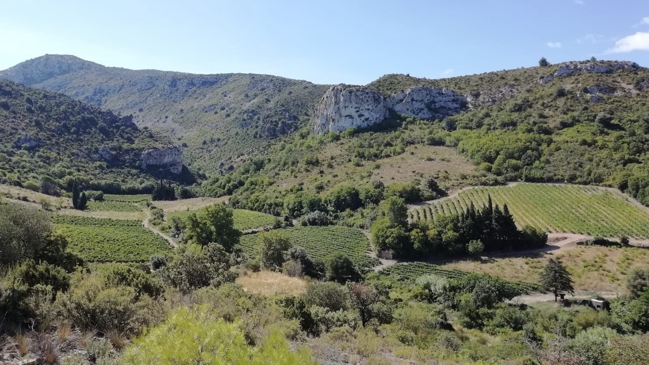 Photo of Outdoor in Embres-et-Castelmaure