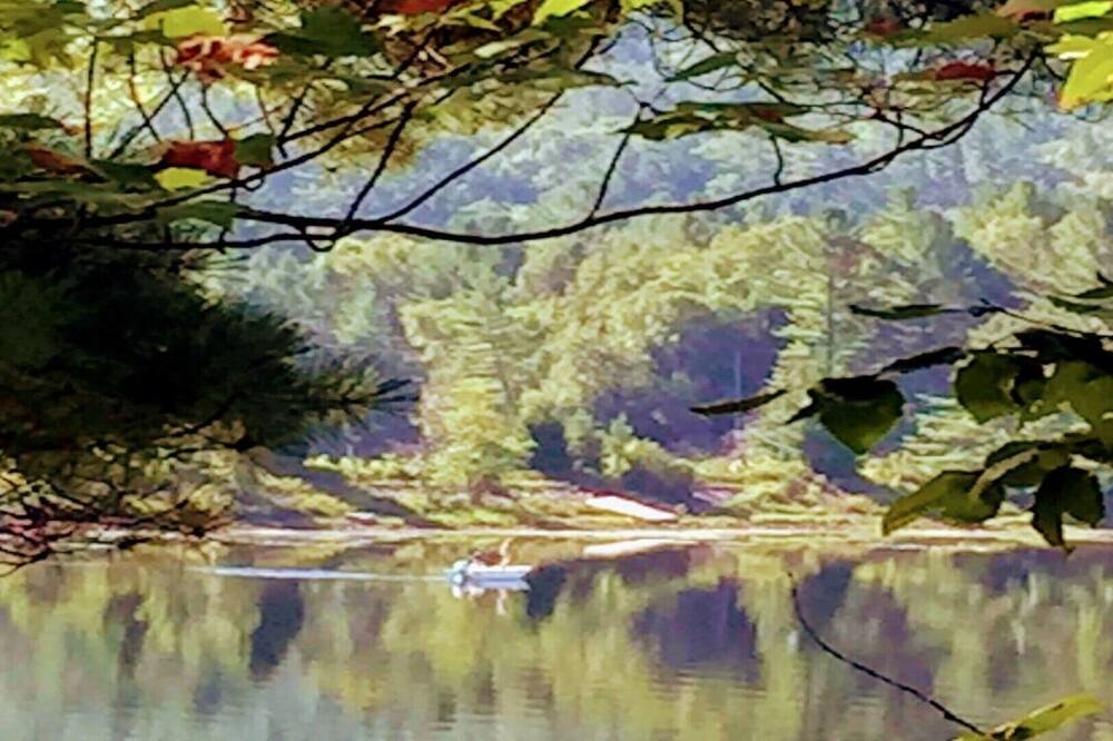 Photo of Others in Long Lake
