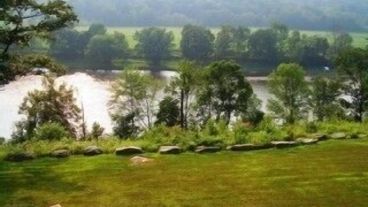 Photo of Outdoor in Long Eddy