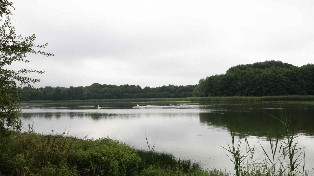 Photo of Outdoor in Marchainville