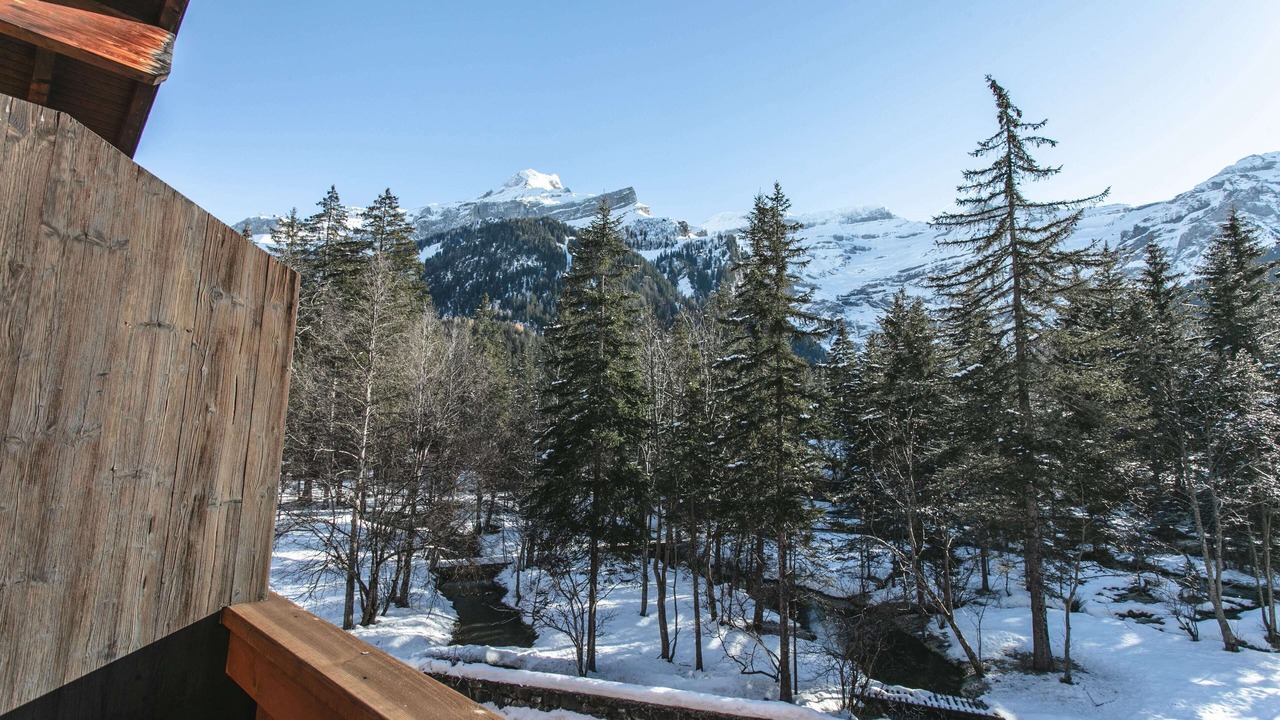 Photo of Patio Balcony in Ormont-Dessus