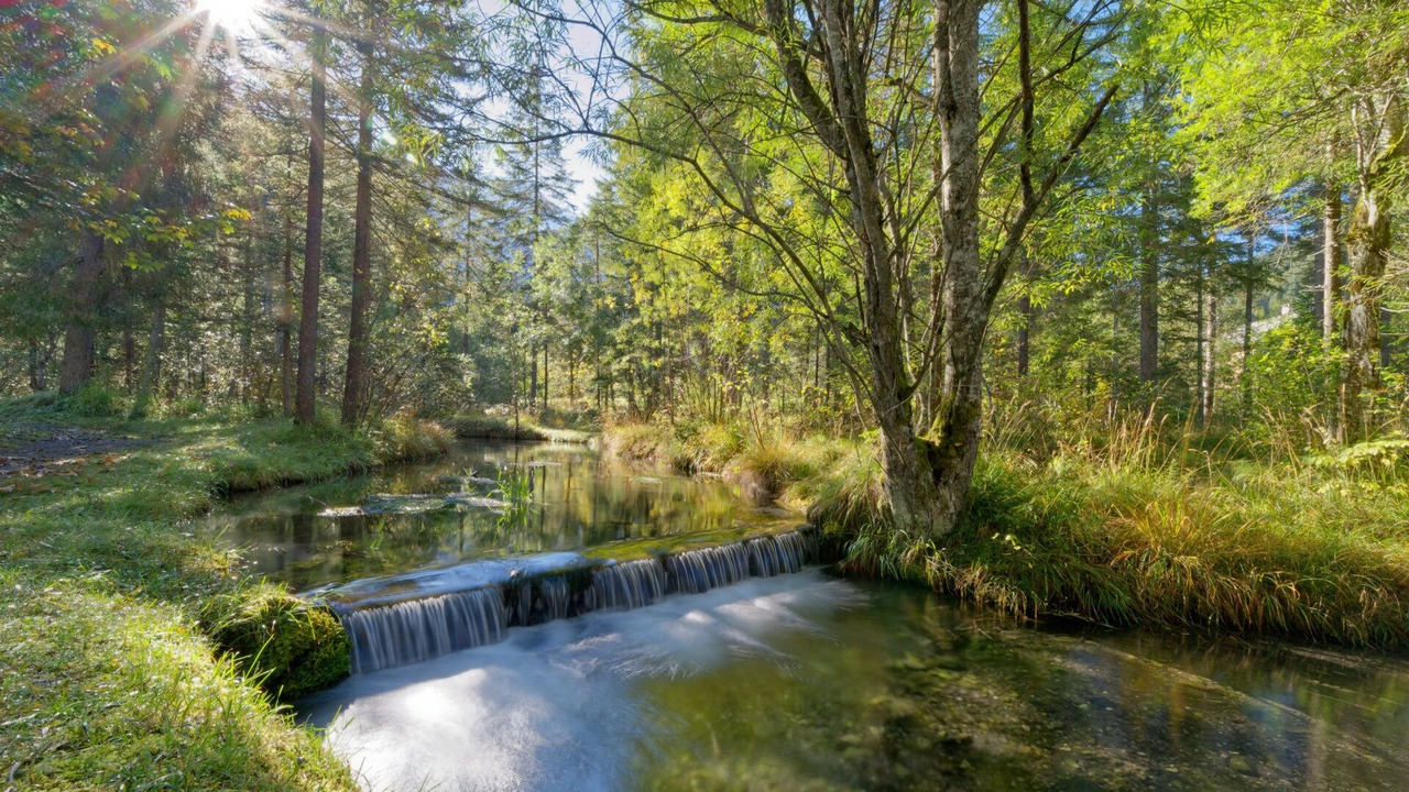 Photo of Outdoor in Ormont-Dessus
