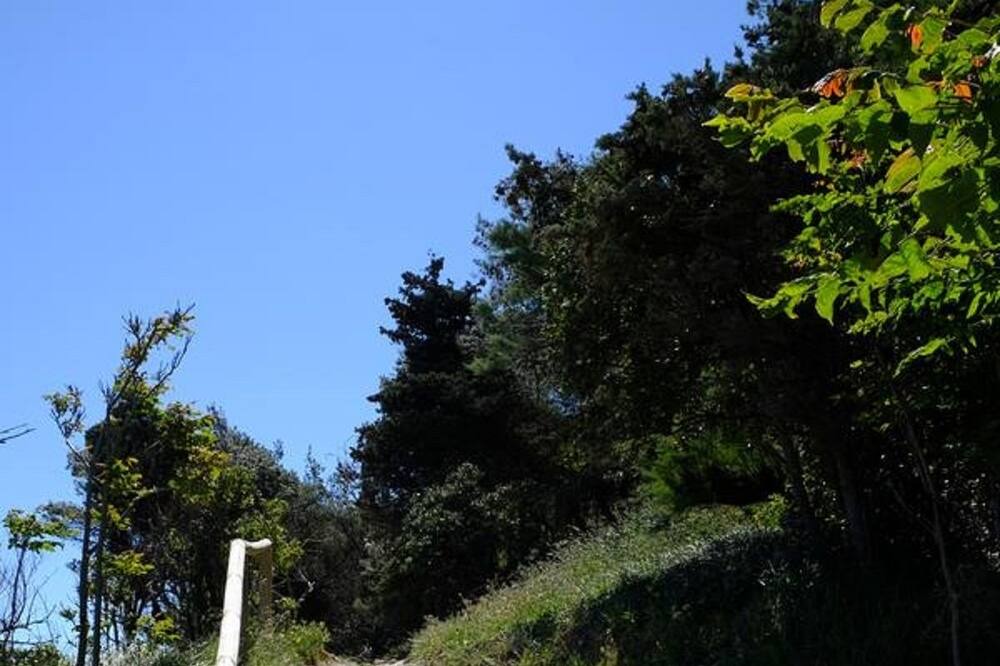 Photo of Outdoor in La Franqui