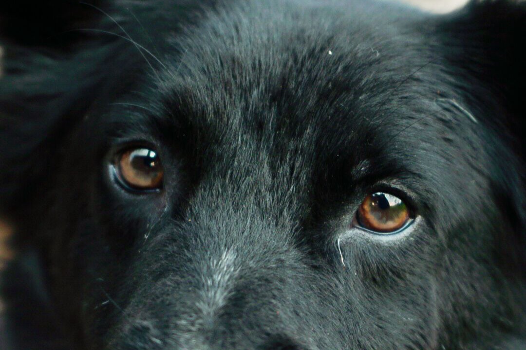 Photo of Others in Kenderan