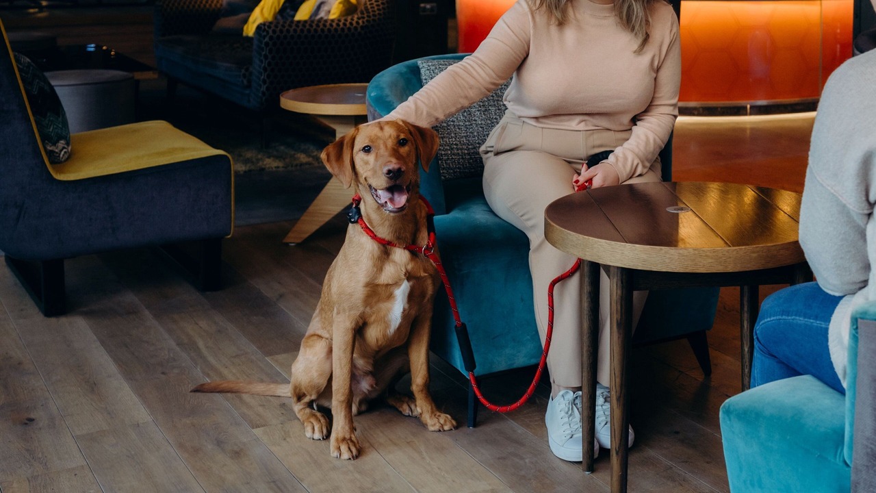 Photo of Others in Bucksburn