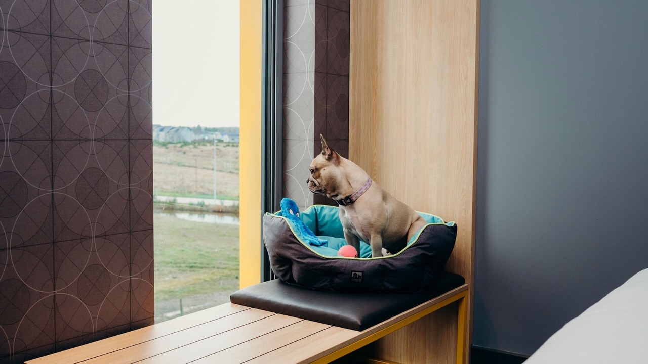 Photo of Bedroom in Bucksburn