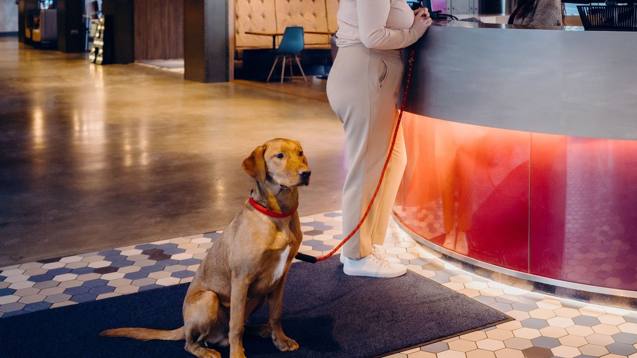 Photo of Others in Bucksburn