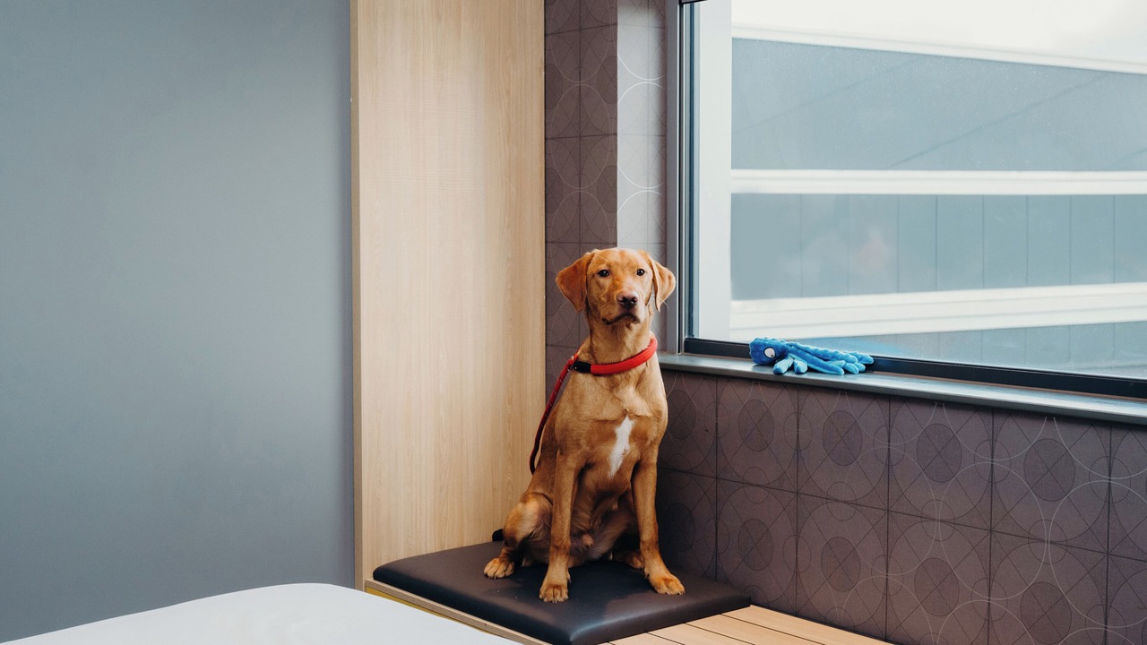 Photo of Bedroom in Bucksburn