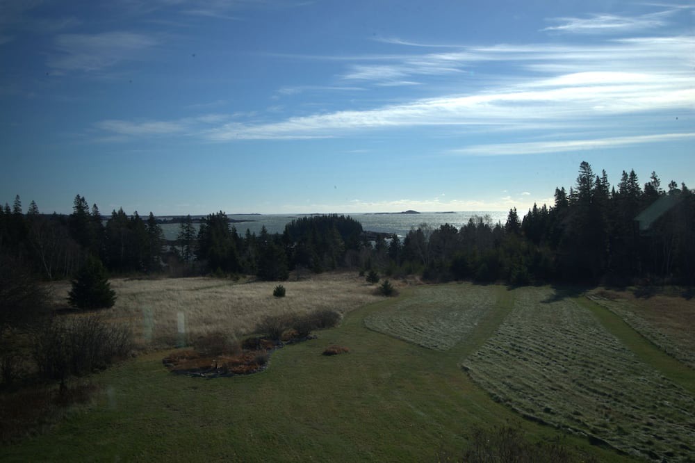 Photo of Others in Roque Bluffs