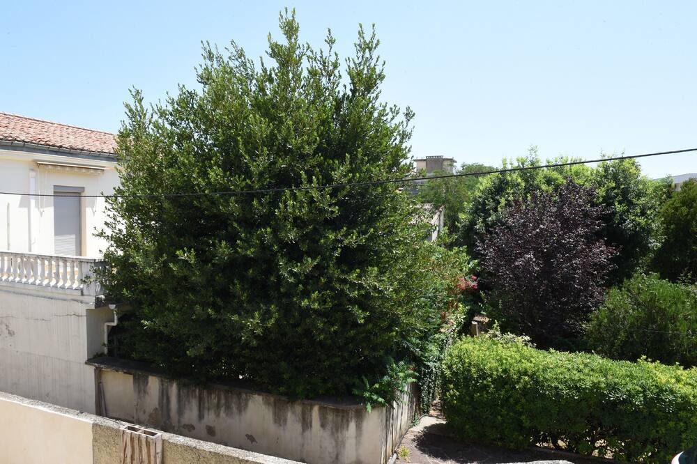 Photo of Outdoor in Estanove