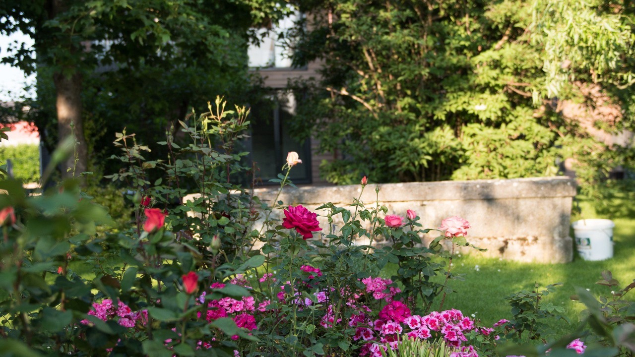 Photo of Outdoor in Hauterive