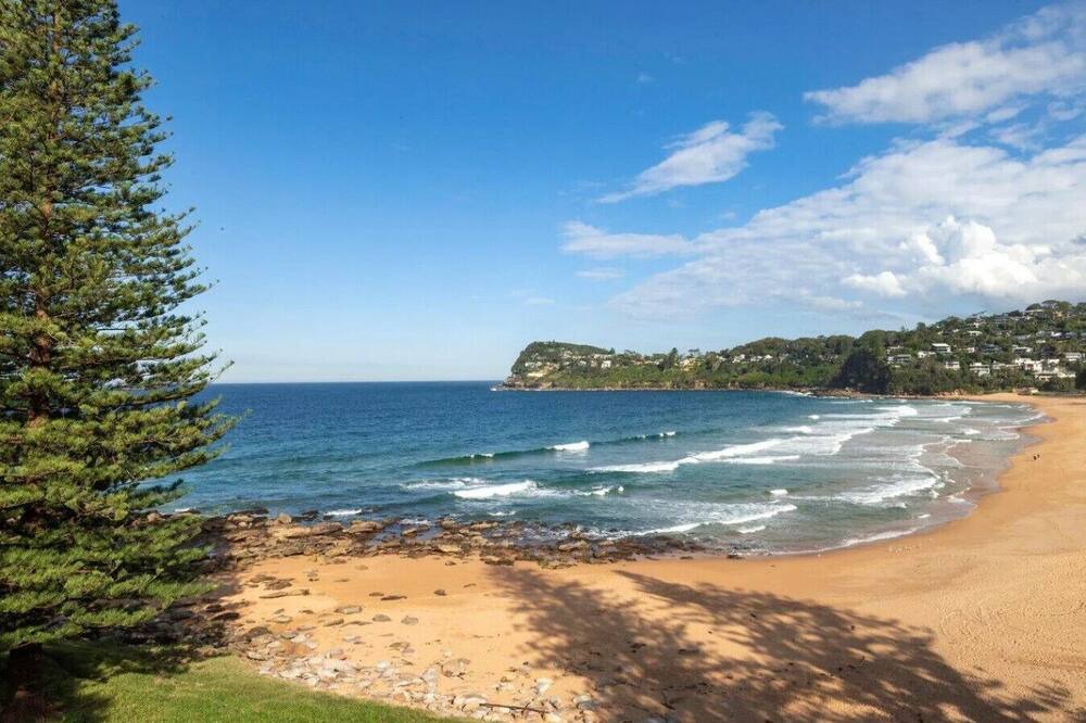 Photo of Others in Whale Beach