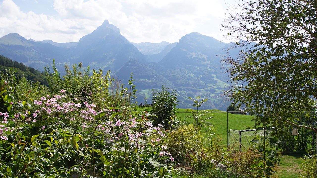 Photo of Others in Amden