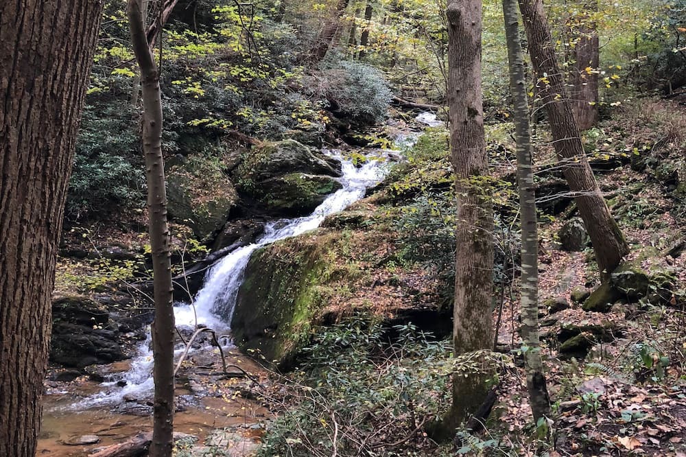 Photo of Others in Airville