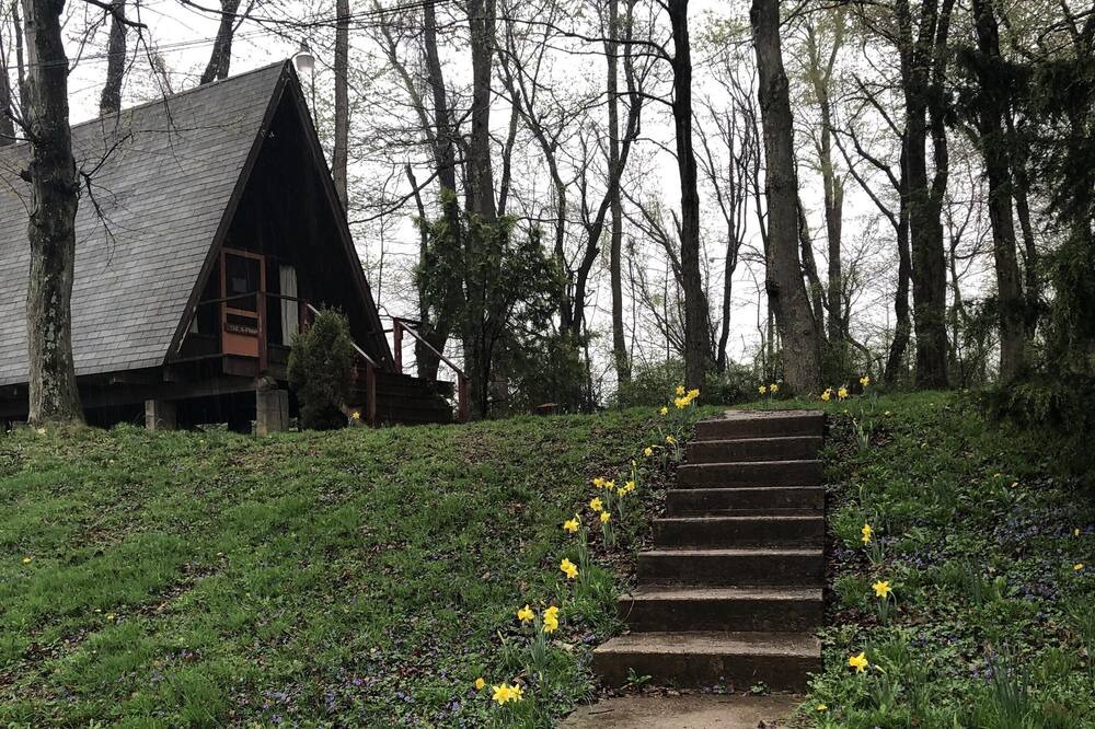 Photo of Outdoor in Airville