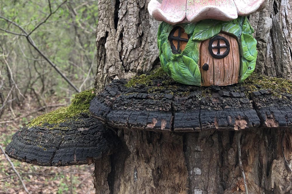 Photo of Others in Airville