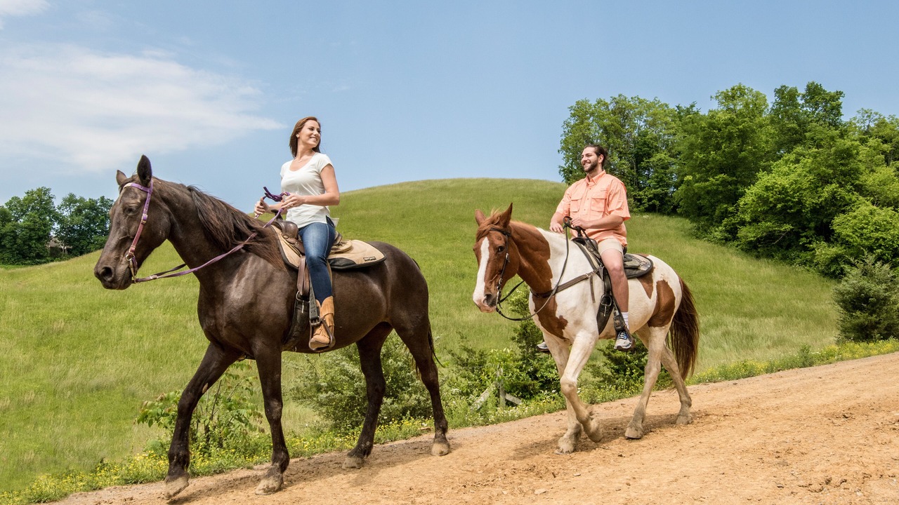 Photo of Outdoor in Pigeon Forge