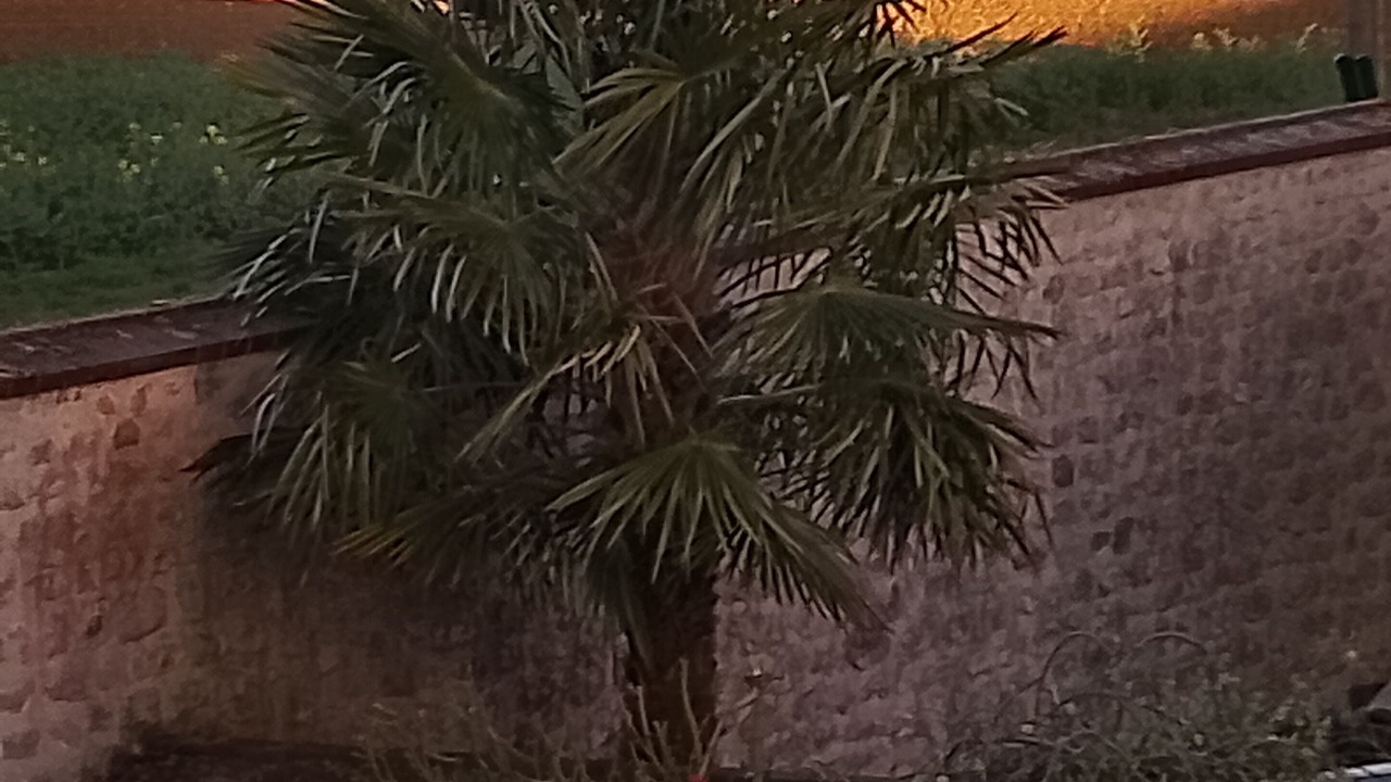 Photo of Bedroom in Prenouvellon