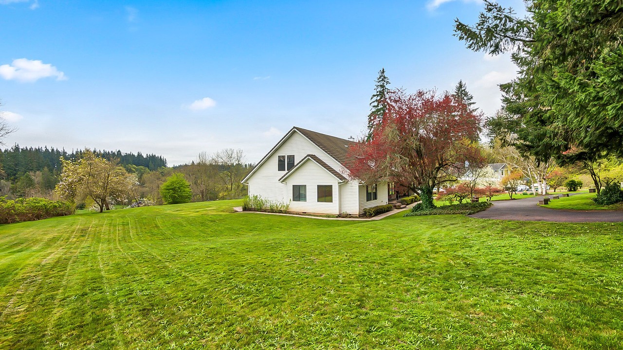 Photo of Outdoor in Meadow Glade