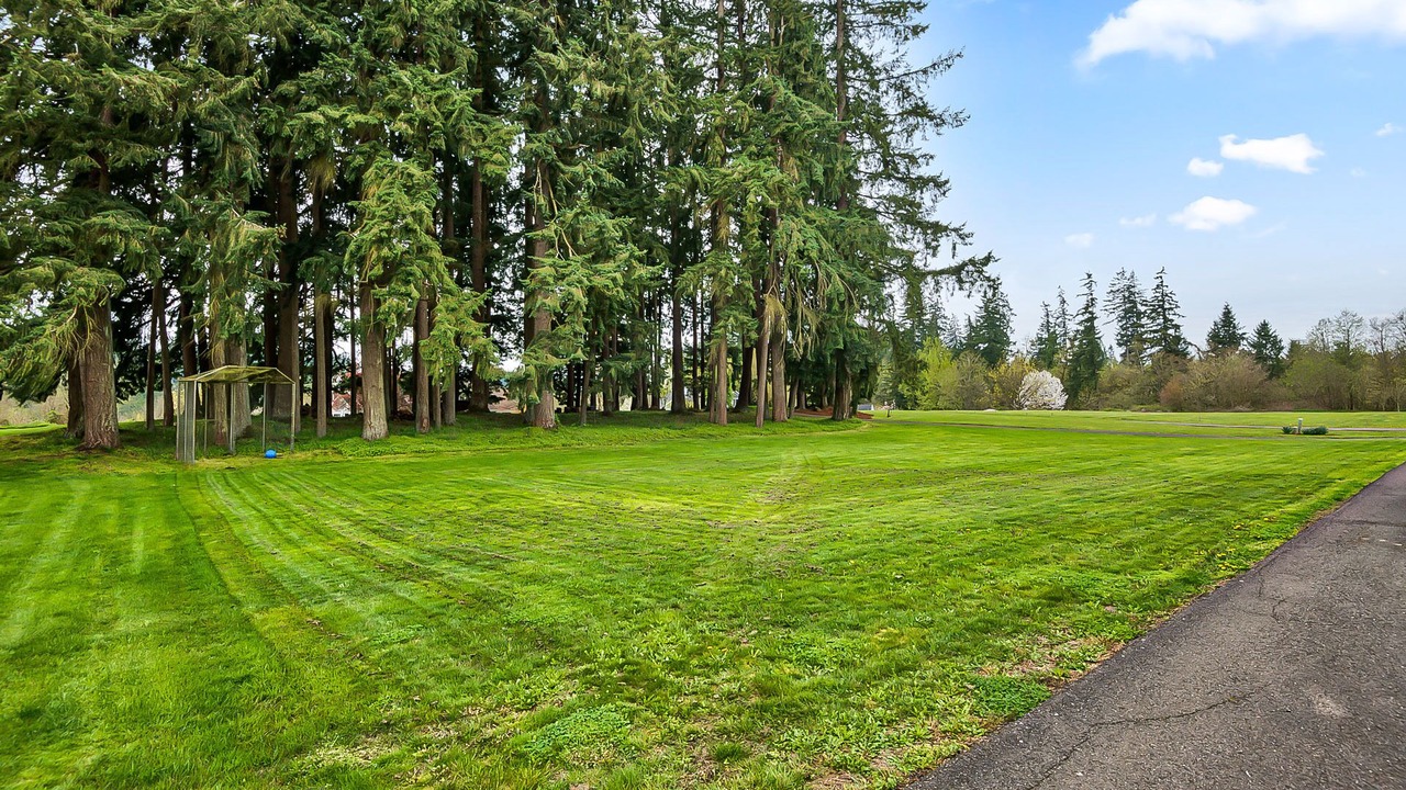 Photo of Outdoor in Meadow Glade