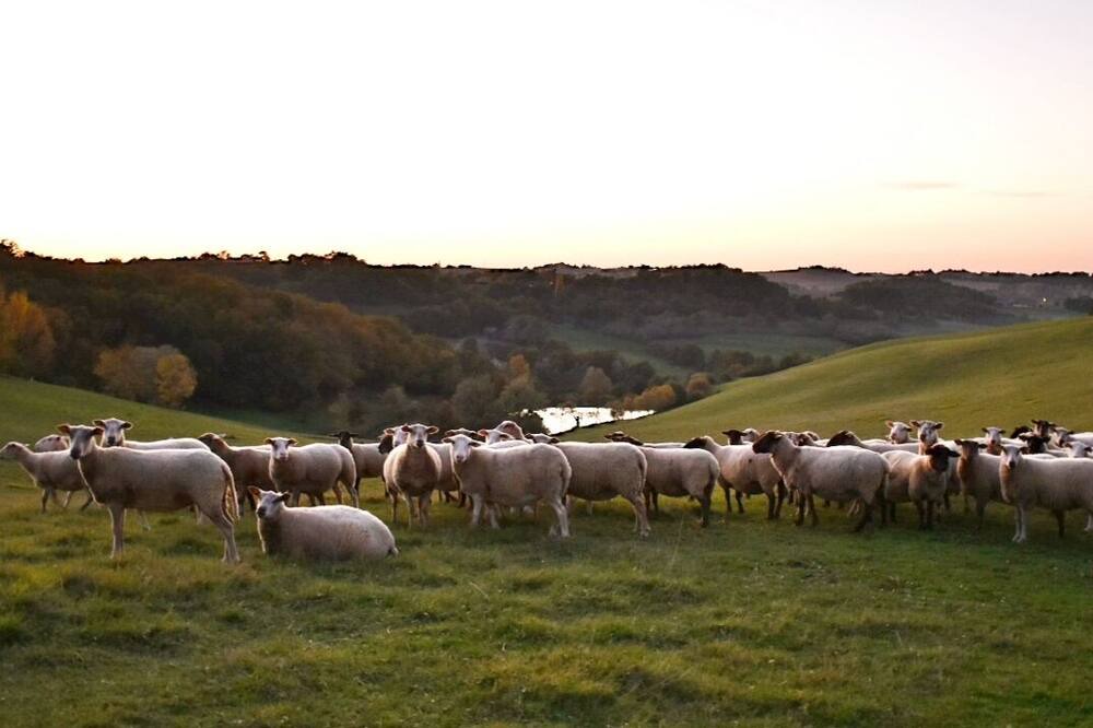 Photo of Outdoor in Lescousse