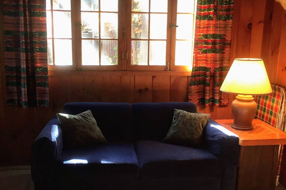 Photo of Livingroom in Long Lake