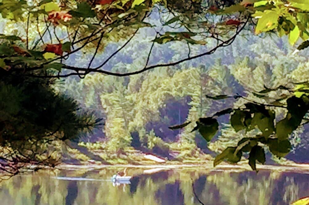 Photo of Others in Long Lake