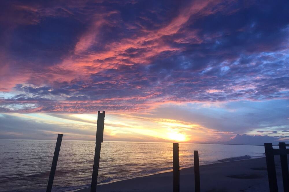 Photo of Others in Alligator Point