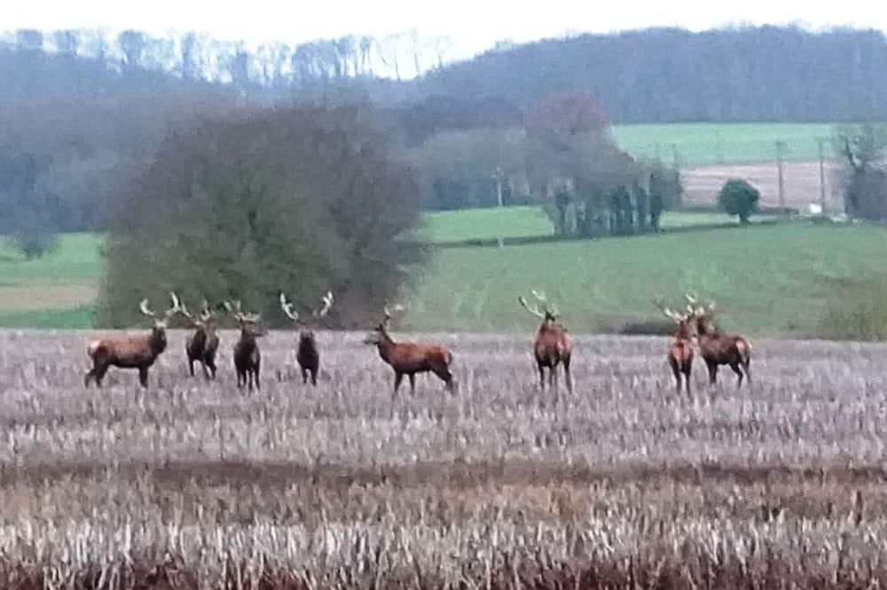 Photo of Others in Saint-Firmin-sur-Loire