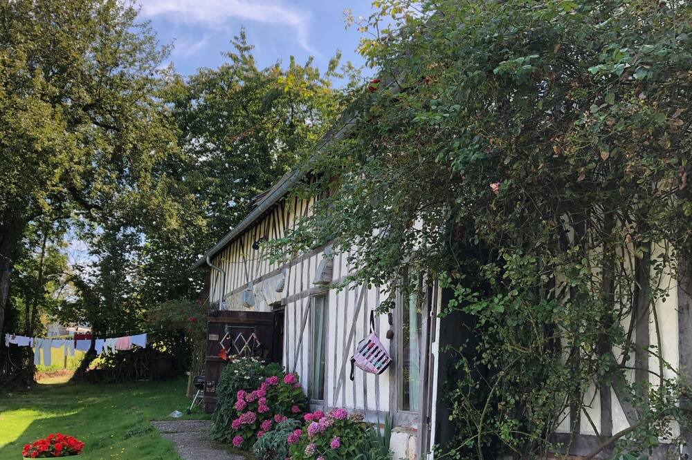 Photo of Outdoor in Cormeilles
