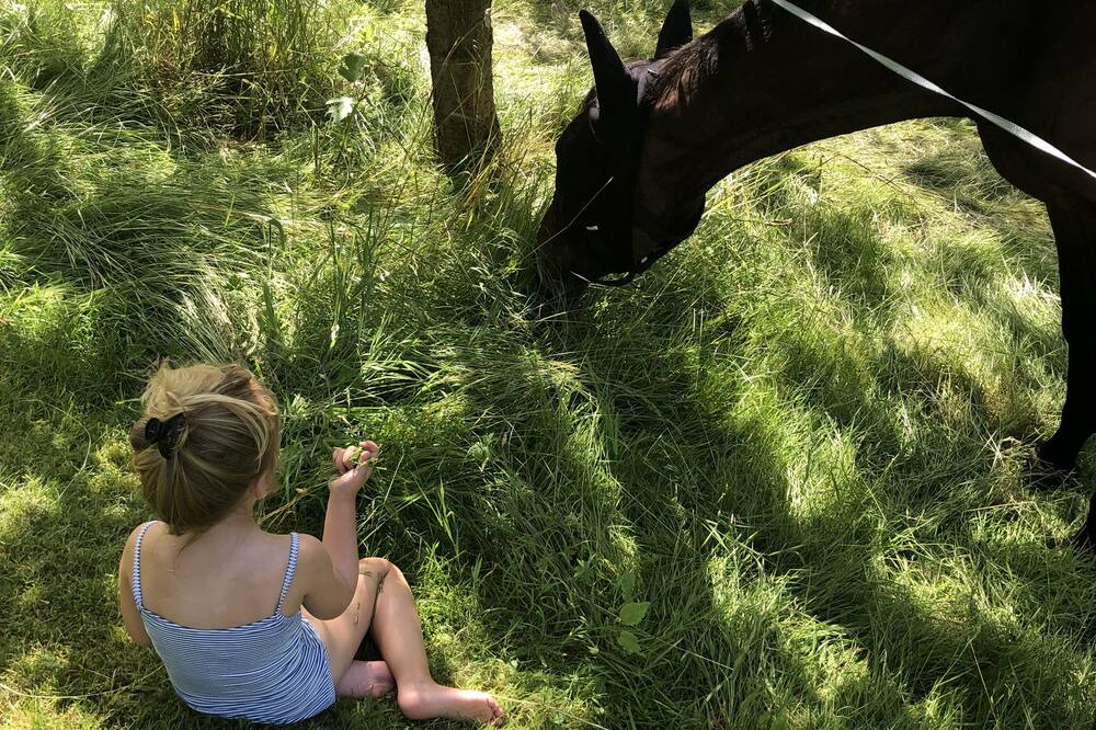 Photo of Outdoor in Cormeilles