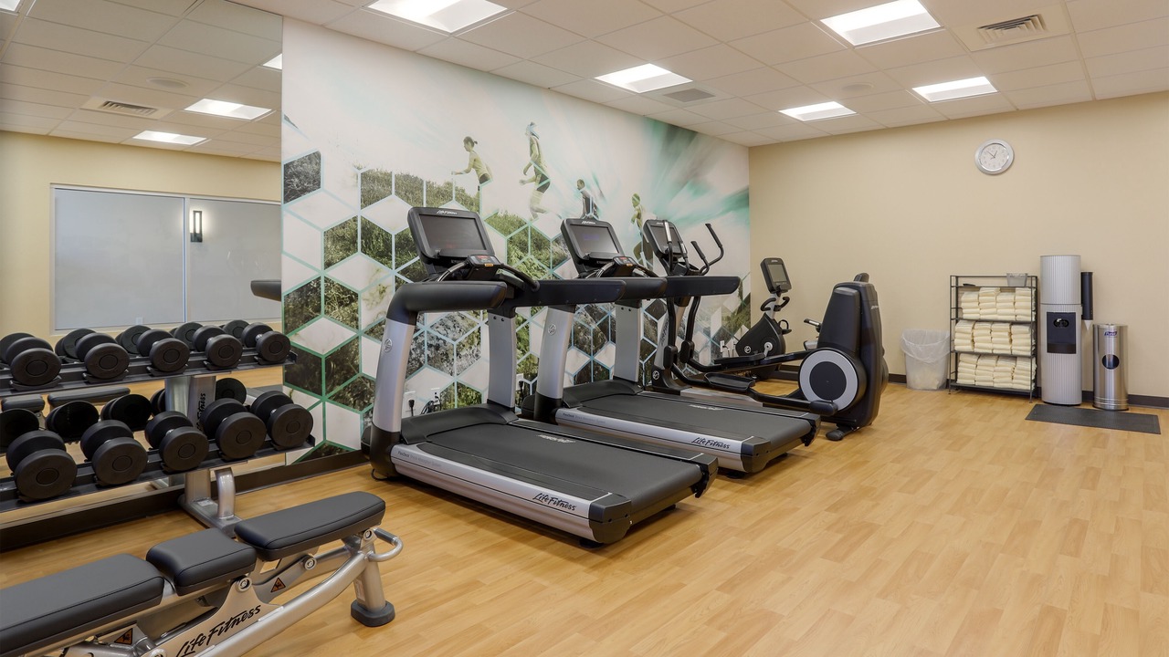 Photo of Others in Nut Tree