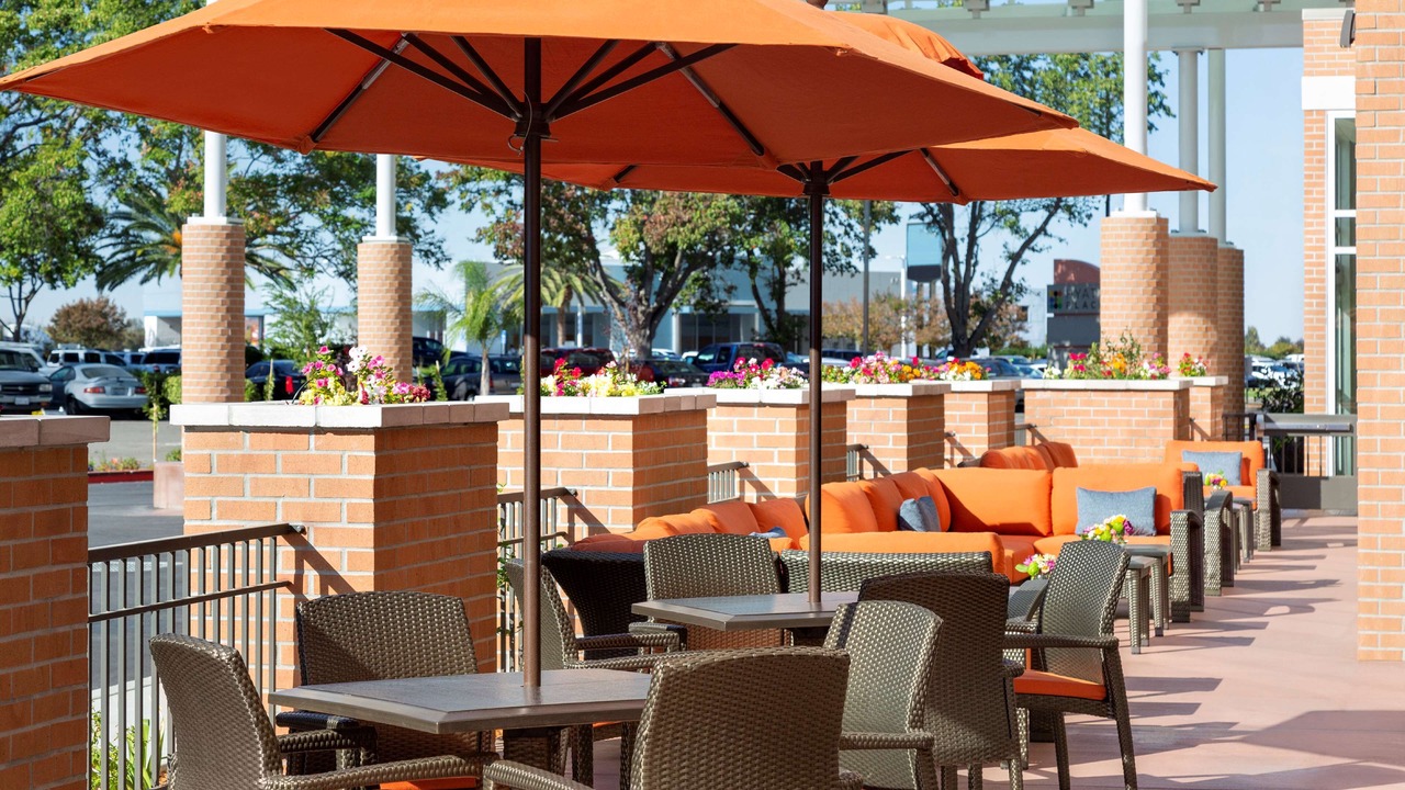 Photo of Others in Nut Tree