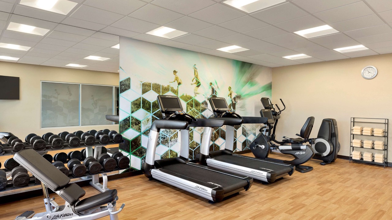 Photo of Others in Nut Tree