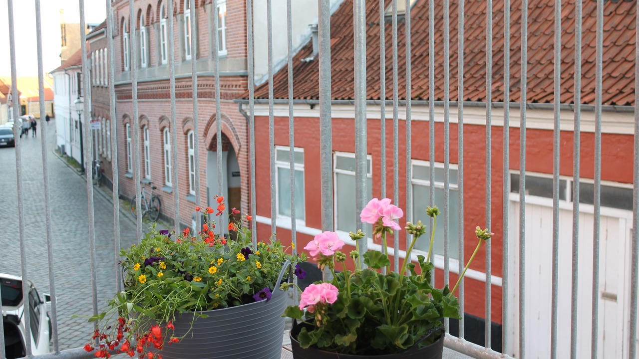 Photo of Outdoor in Ribe