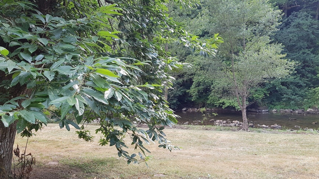 Photo of Outdoor in Mayran