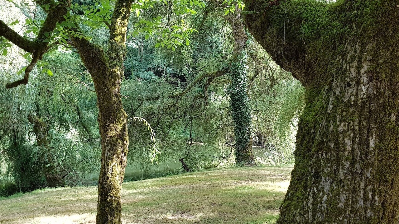 Photo of Outdoor in Mayran