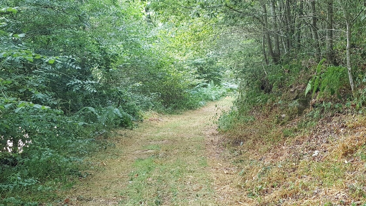 Photo of Outdoor in Mayran