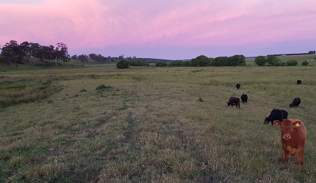 Photo of Outdoor in Gerangamete